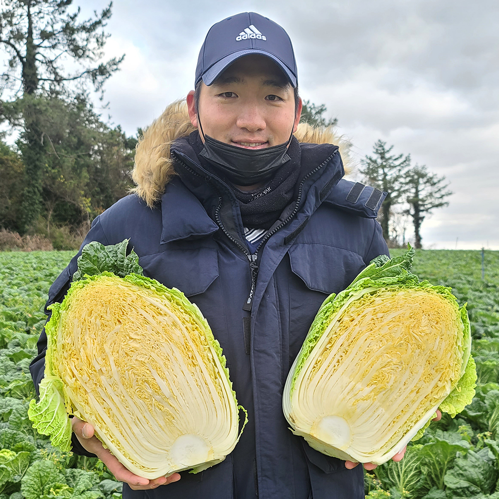 100% 우리농산물 프리미엄 김장김치 배추김치 주문 2kg : 소복김치