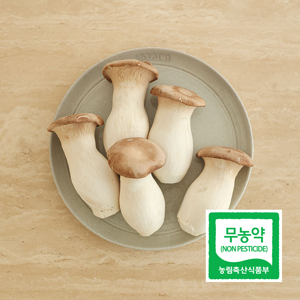 [시즌오프] 당일수확 당일발송 새송이버섯 특등급 2kg : 모던한담