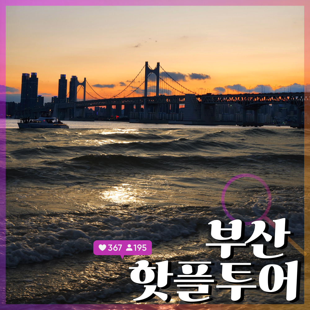 부산 핫플투어 시티 버스투어 : 돌고래여행사-돌핀스토어