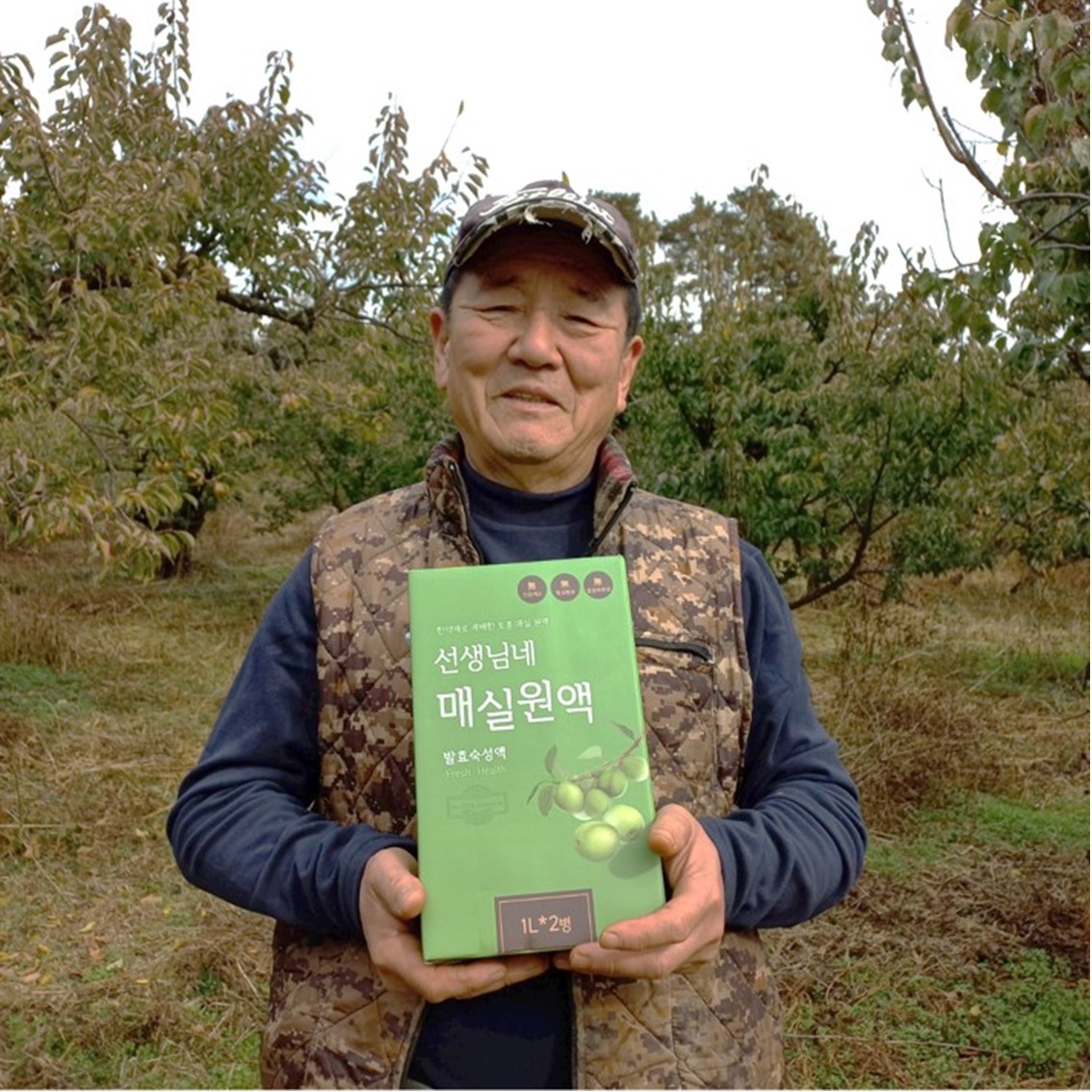 한약재로 키운 매실원액 : 팔도명인