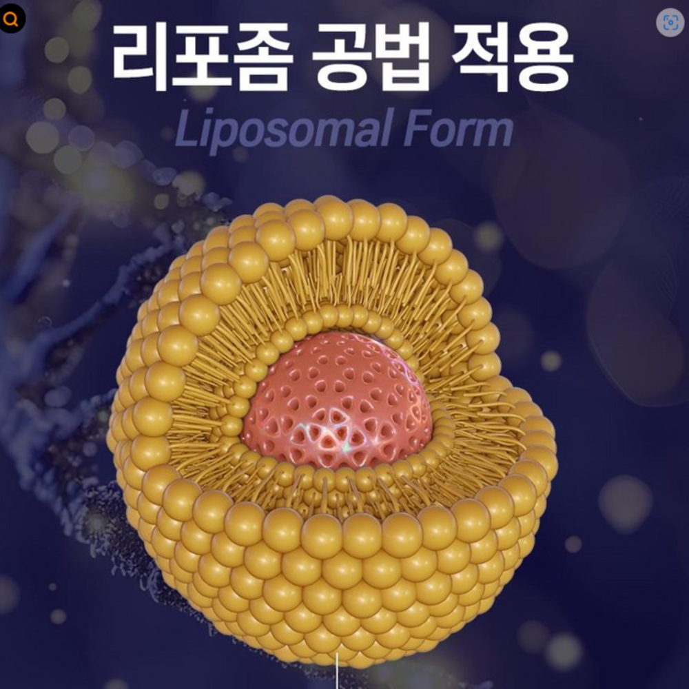 뉴트리럽 고함량 리포좀 글루타치온 인지질코팅 콜라겐 : 요다이스요