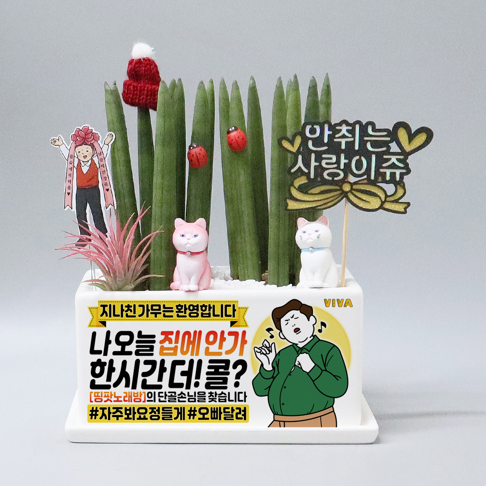 노래방 노래연습장 개업화분 오픈축하선물 작은화분선물 스투키 맞춤제작 : 띵팟