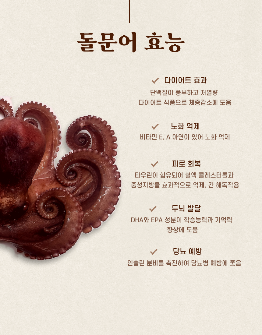 [성훈수산] 산지직송 당일조업 통영 돌문어 : 통영 성훈수산