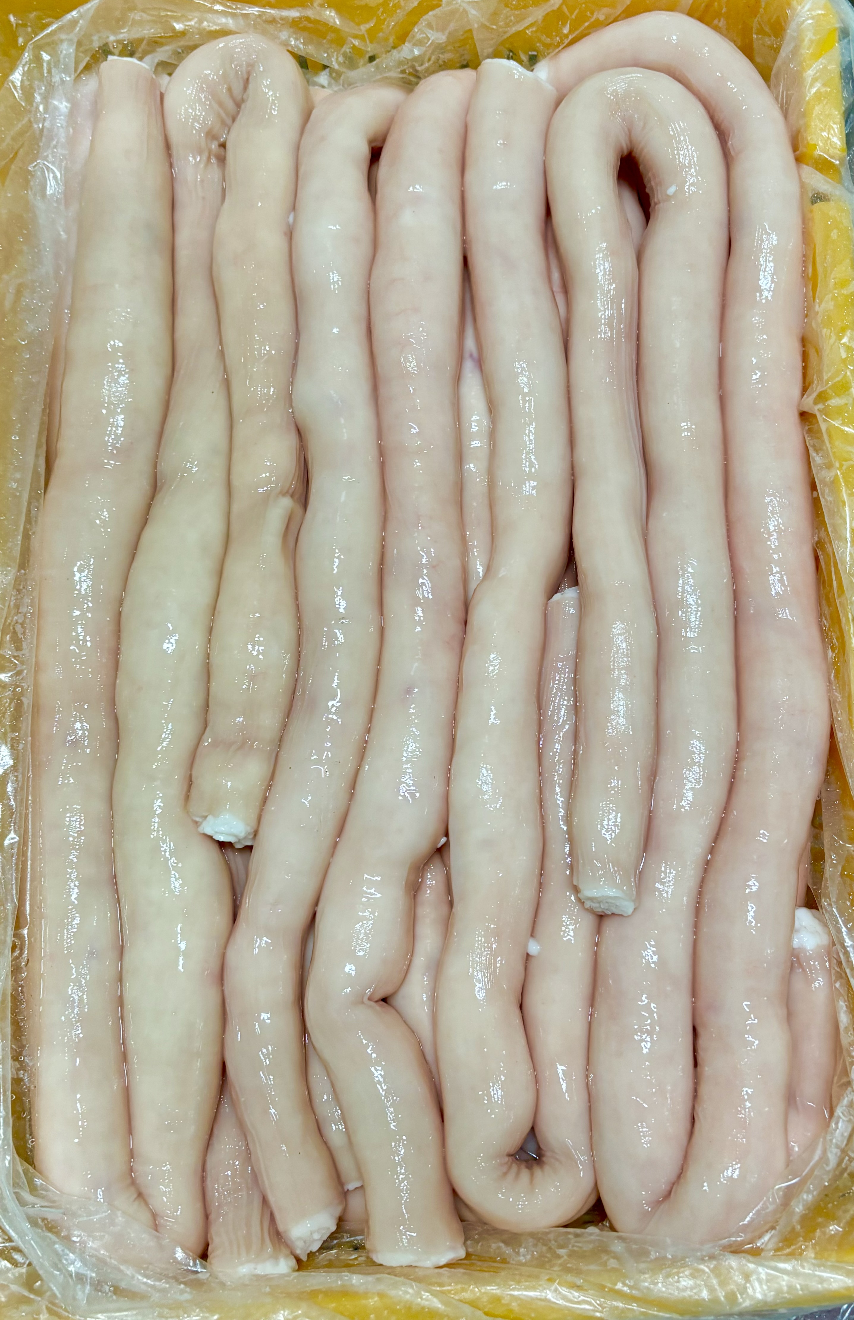대창작업소) 업소용 한우 대창 대용량 10kg 곱도리탕 대창 : 대창작업소