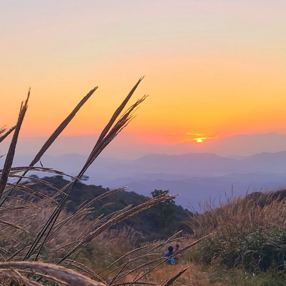 여행 콜밴 봄 여름 가을 겨울 관광 리조트 투어 올데이 관광 힐링 리무진 쏠라티 콜벤 예약 : 모넷콜밴
