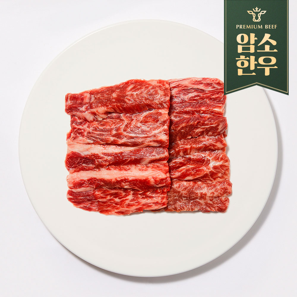 가야암소 1+ 한우 갈비살 300g : 비밀의공구 스토어