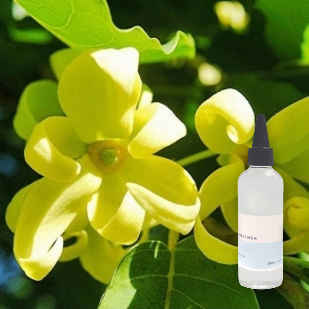 USA 일랑일랑 프래그런스오일 20ml : 캔들 조아