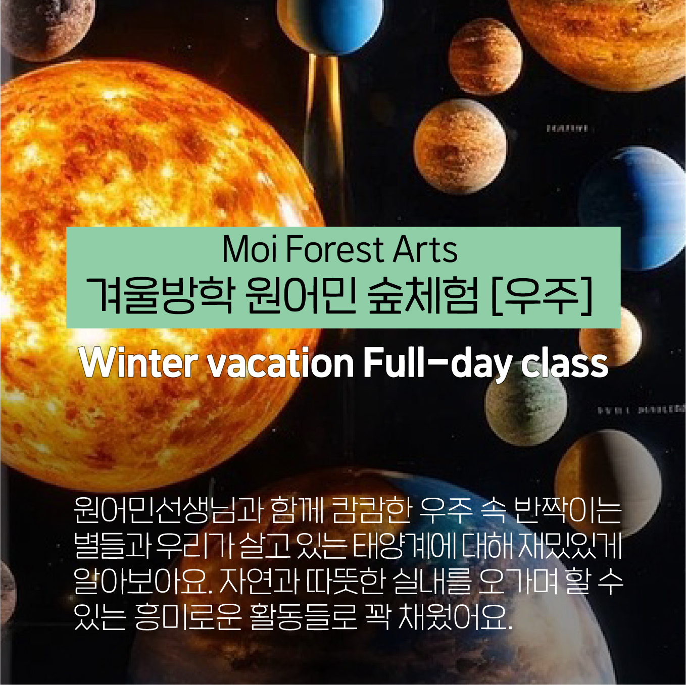 2024 모아숲아트 겨울방학 원어민 숲체험 캠프 : 모아숲아트