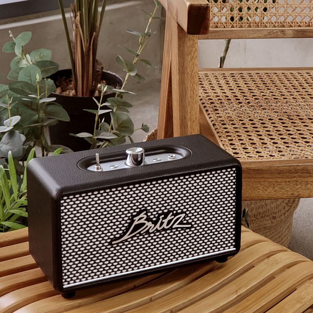 브리츠 휴대겸용 블루투스 스피커 30W 고출력사운드 BZ-RK101 TWS 블랙 : 브리츠 Britz