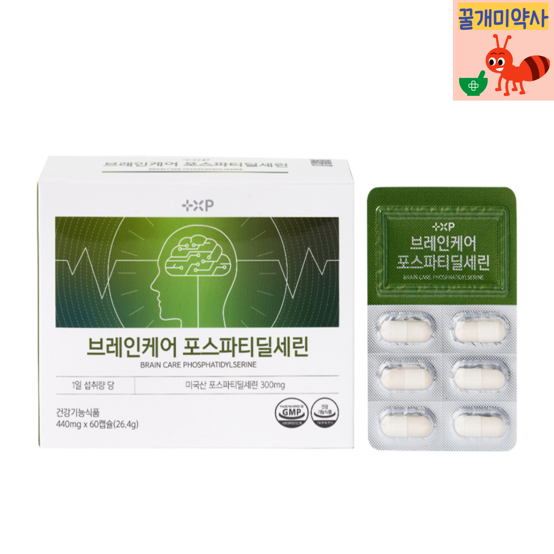 두뇌 건강 브레인케어 포스파티딜세린 뇌 건강 기억력 집중력 인지력 개선 기능성 : 꿀개미 약사