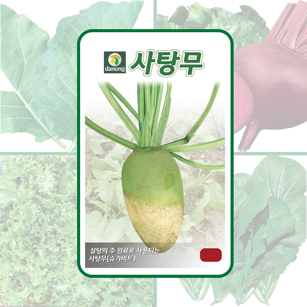 사탕무(슈가비트) 3g 설탕의 주원료로 사용되는 채소 종자 다농 : 뉴코리아팜