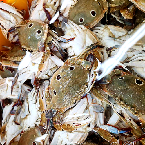 삼점 암꽃게장 간장게장 2kg 대용량 1통 한통 알베기 가득 알꽉찬 꽃게 삼점게 : 먹과사전