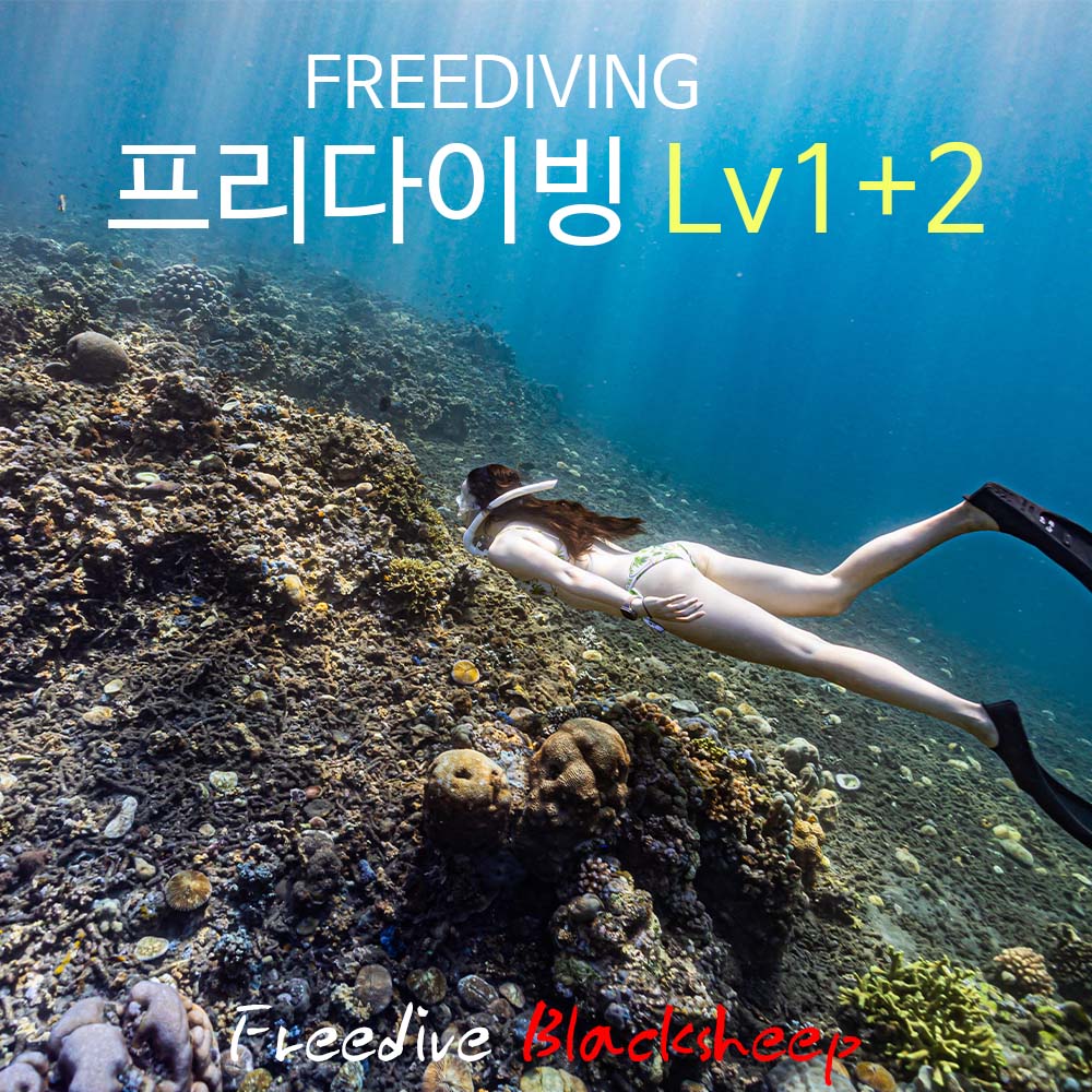 프리다이빙 강습 교육 입문+초급과정 프리다이빙 레벨1+2 서울 용인 대전 청주 세종 : 프리다이브 블랙쉽