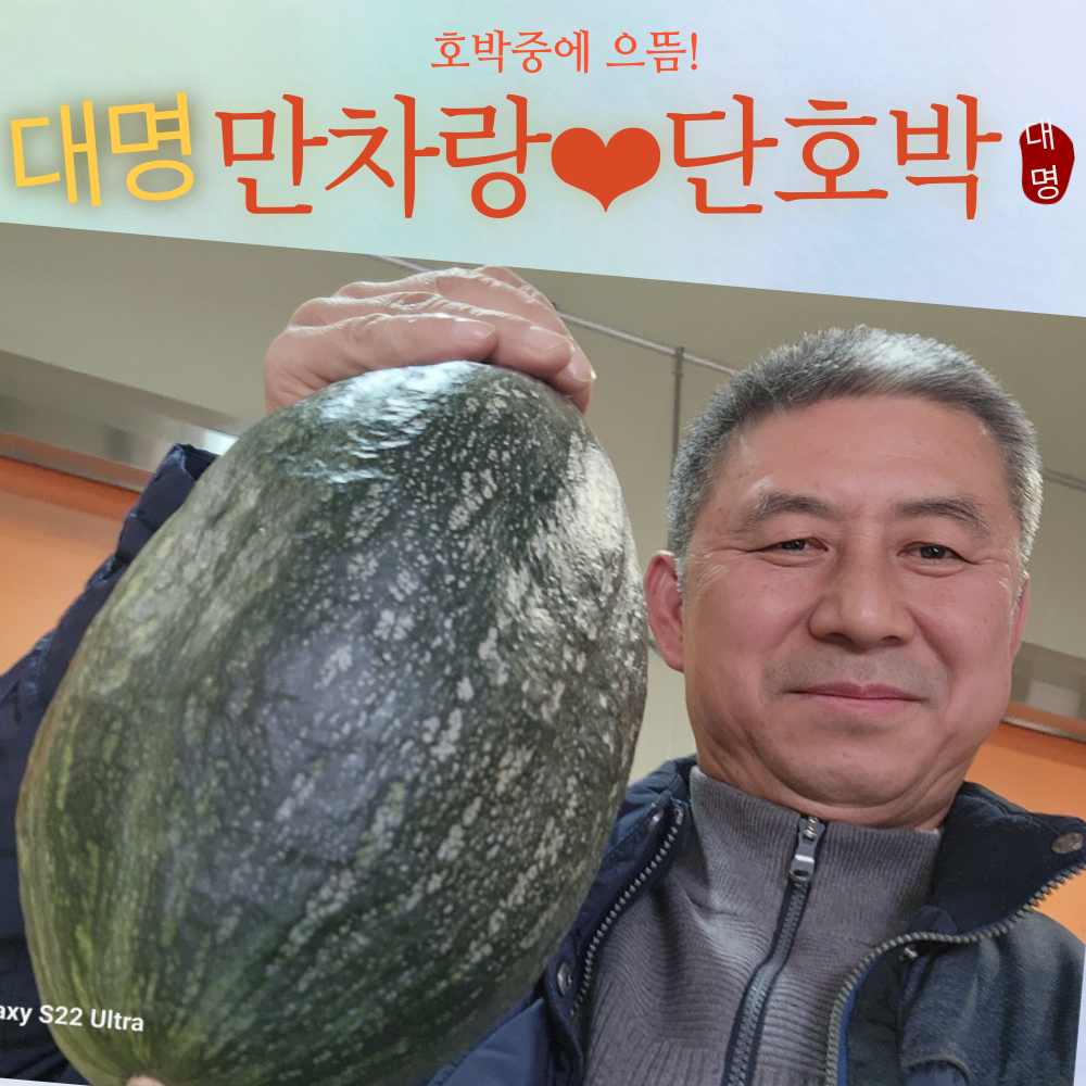 만차랑단호박 호박의 왕 남도땅 나주 단맛의 으뜸 5kg 10kg 청정지역 황토땅 재배 : 대명농산물프레쉬팜산지마켓