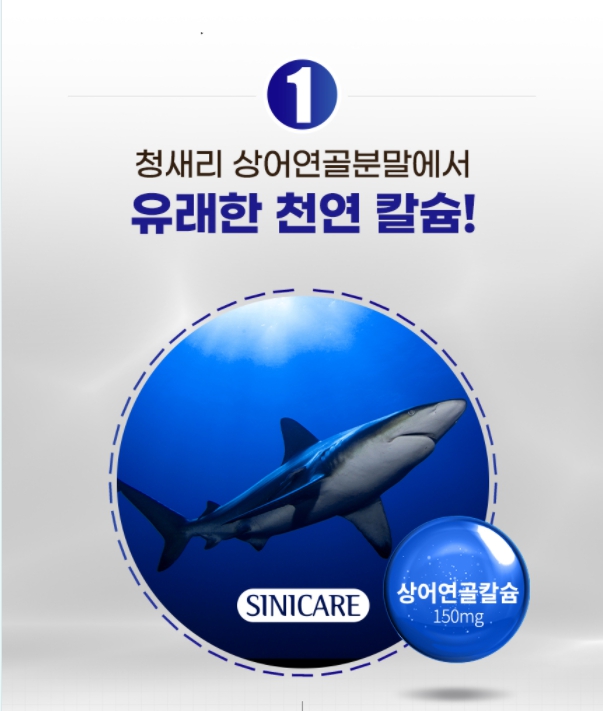 시니케어 블루상어연골 100%호주산 칼슘 마그네슘 비타민D 825mgx60캡슐(1개월) : 튜블리