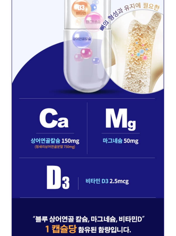 시니케어 블루상어연골 100%호주산 칼슘 마그네슘 비타민D 825mgx60캡슐(1개월) : 튜블리