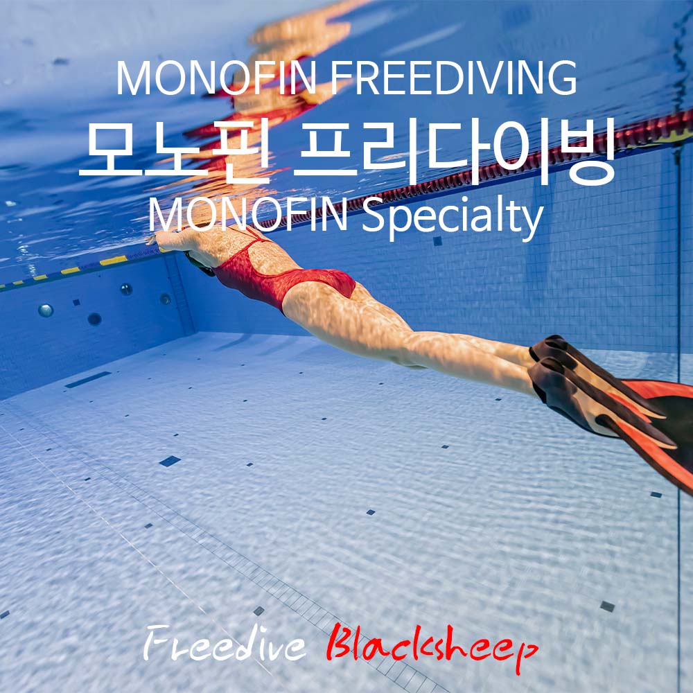 모노핀 프리다이빙 교육 과정 서울 용인 대전 청주 세종 : 프리다이브 블랙쉽