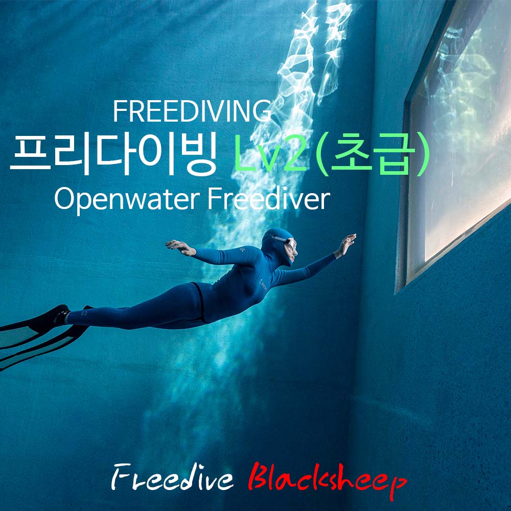 프리다이빙 강습 교육 초급과정 프리다이빙 레벨2 서울 용인 대전 청주 세종 : 프리다이브 블랙쉽