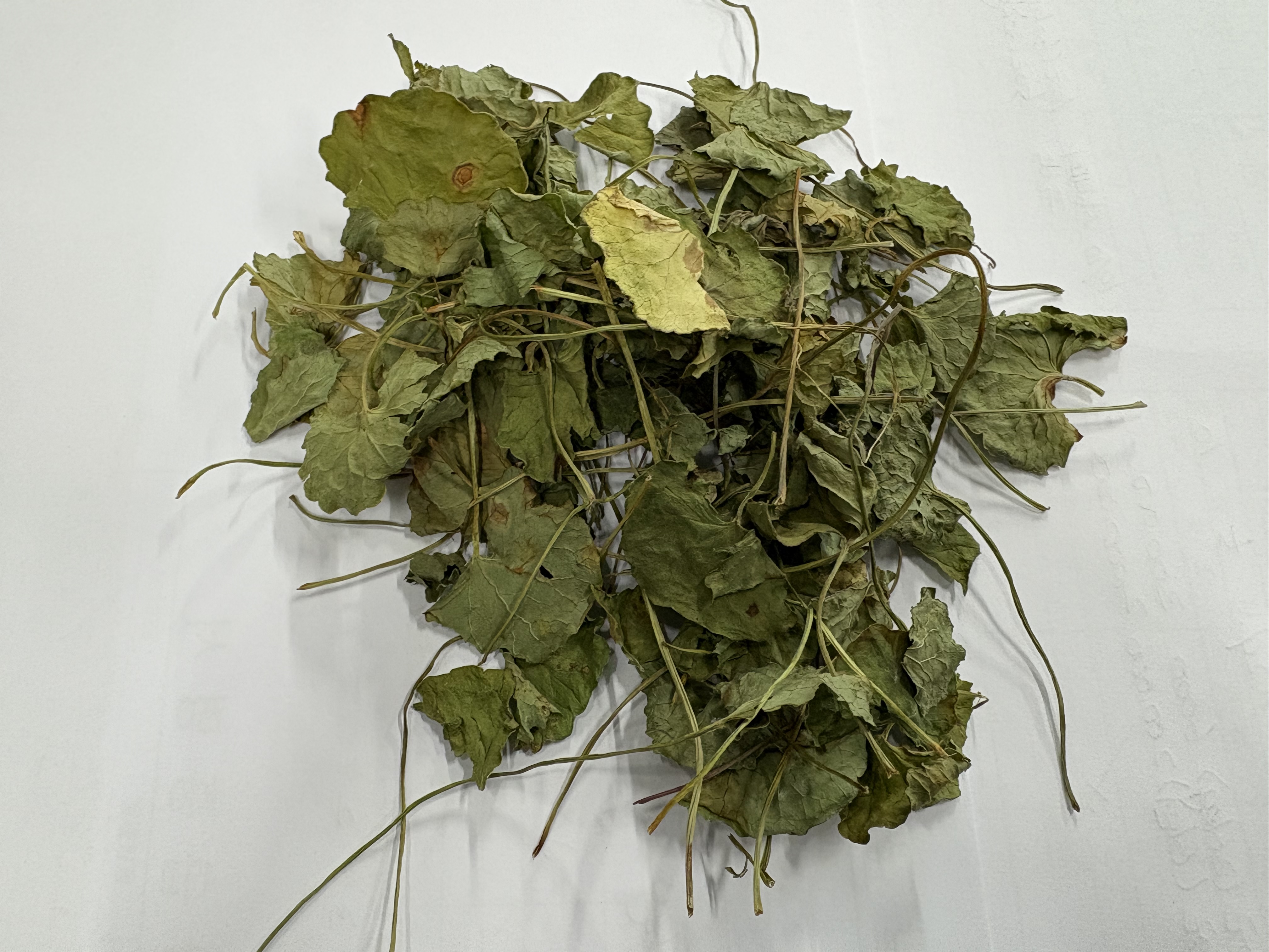 [무농약] 병풀, 호랑이풀, 국내산 병풀 100g - 화장품원료 : 현서농장