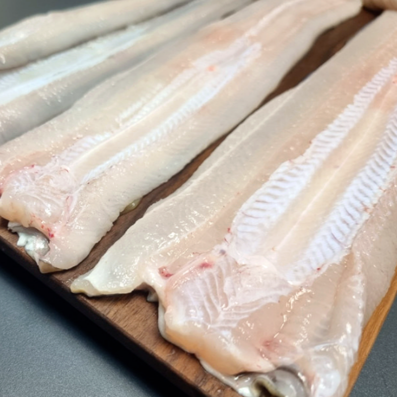 [왕특대] 자연산 통영 손질 장어 바다장어 특대 1kg 2kg 3kg 당일배송 : 못난이삼촌