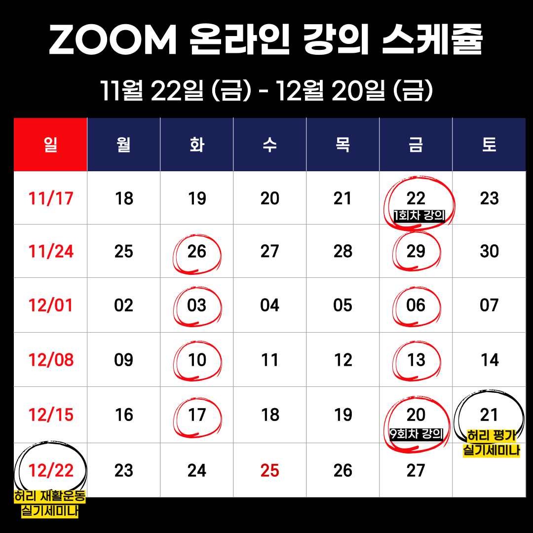 11월 19일 (화) RCT 3.0 허리파트 : 주식회사 스포메드랩