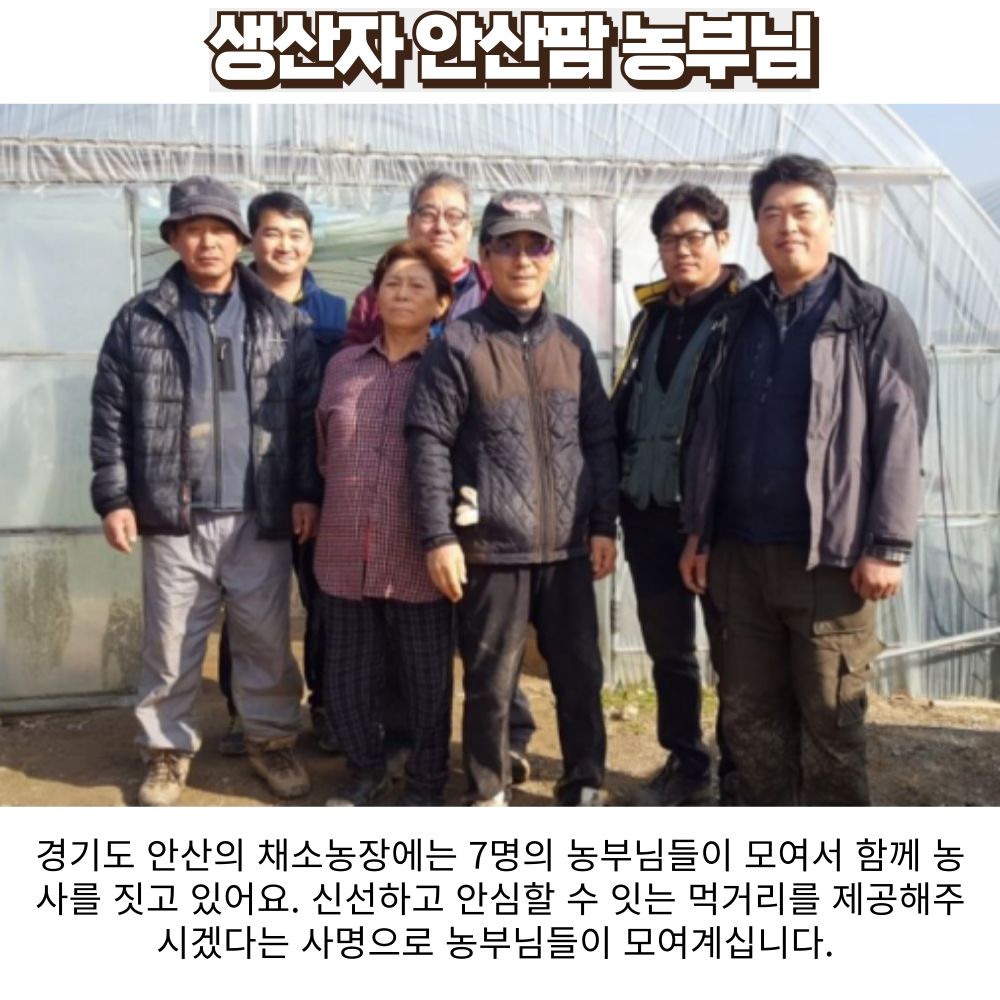 국내산 고수 고수나물 생 고수풀 싱싱한 향신료 마라탕 당일재배 1단 1kg, 1개 : 싱싱투데이 농수산