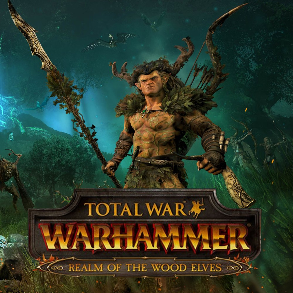 PC Steam 토탈워 워해머 렐름 오브 우드엘프 우드엘프의 왕국 자동카카오톡발송 : 게임터치몰