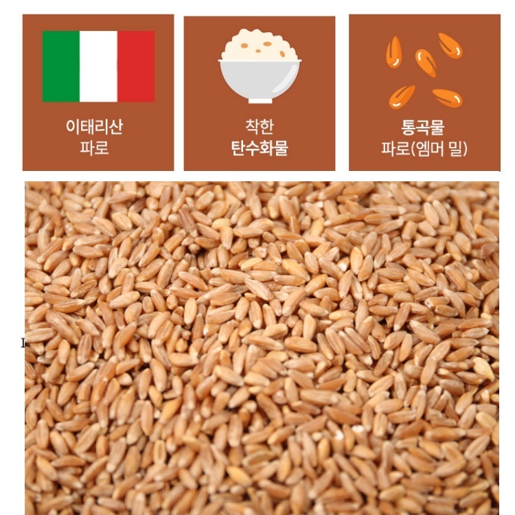 파로 곡물 고대곡물 파로밥 효소 효능 먹는법 카로티노이드 아라비노자일란 이탈리아 : 굿모닝파크