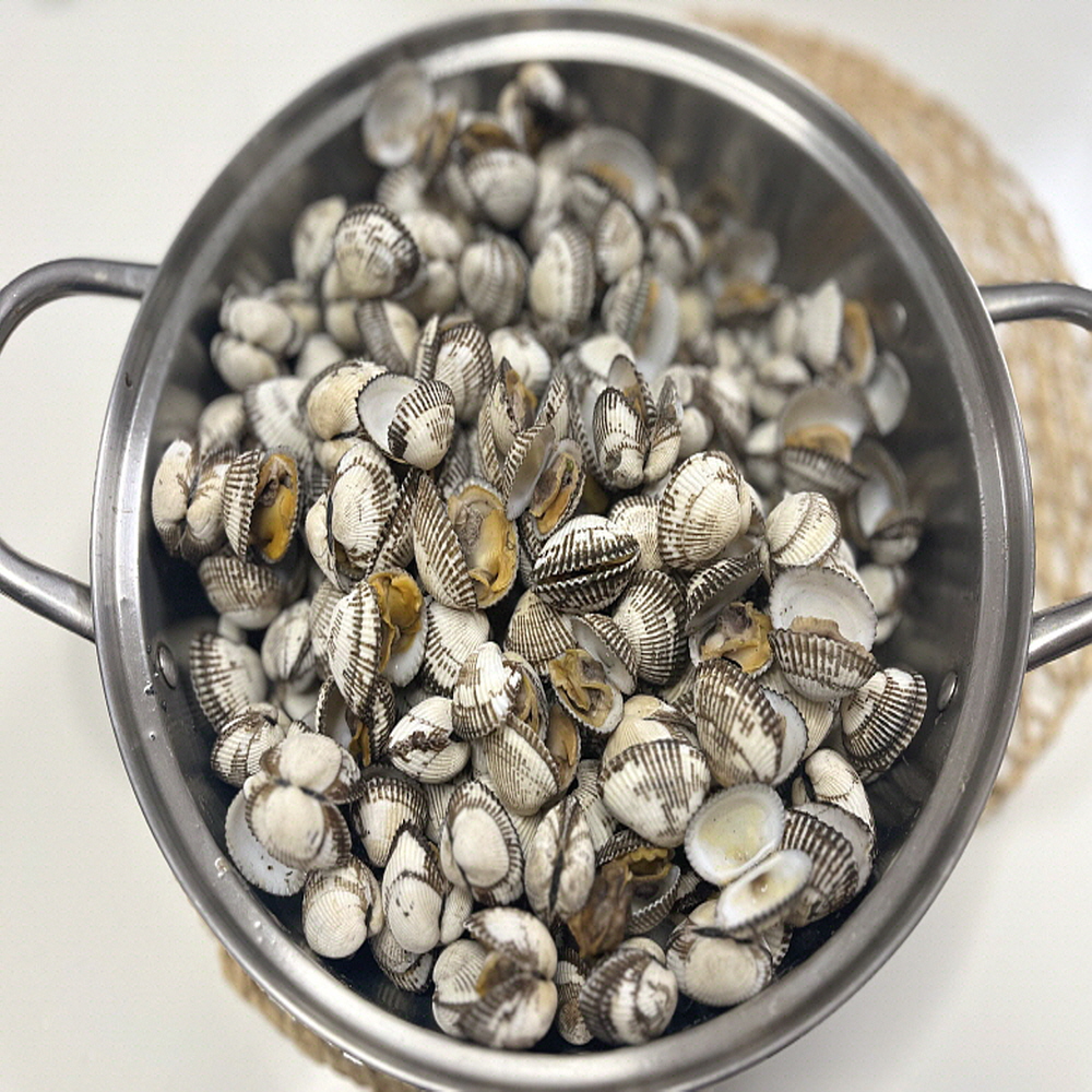당일조업 제철 벌교 여자만 새꼬막 2+1kg 국산 꼬막 산지직송 : 홍게선주 딸래미네