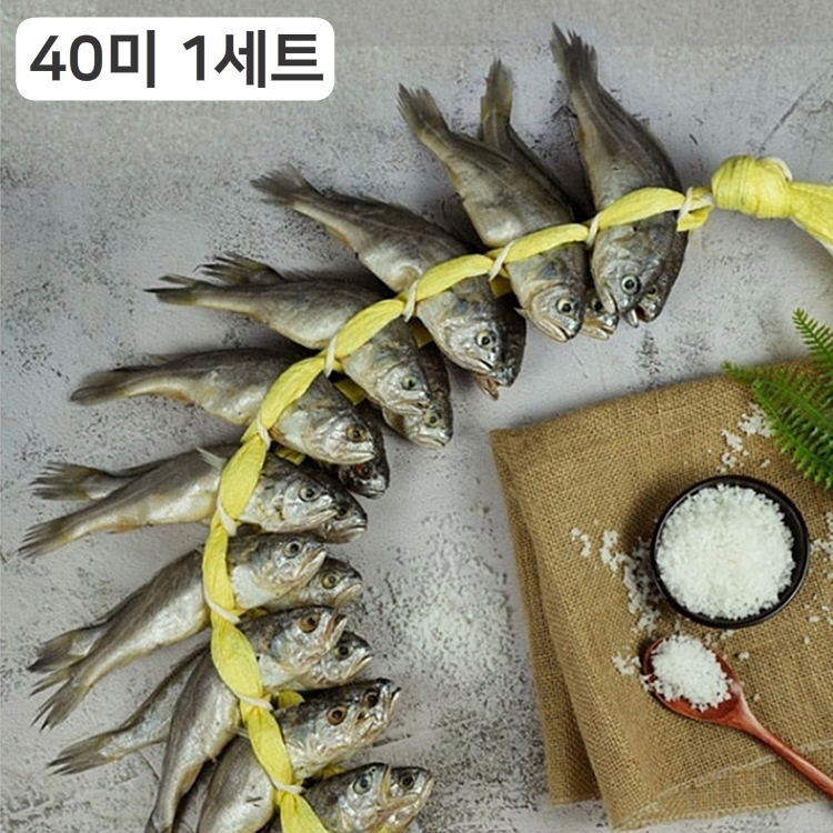 20미X2두릅 영광 법성포 참굴비 1년 이상 간수를 뺀 천일염 섭간 굴비 : 에스더 샵