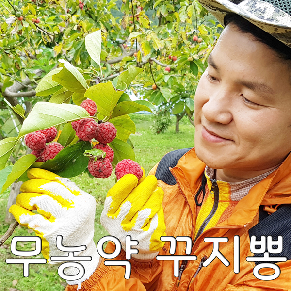 밀양 햇 국내산 꾸지뽕 열매 5kg : 허브아시아