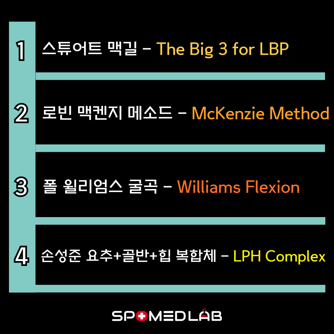 12월 22일 (일) 25차 - 허리질환 재활운동 실기세미나 : 주식회사 스포메드랩