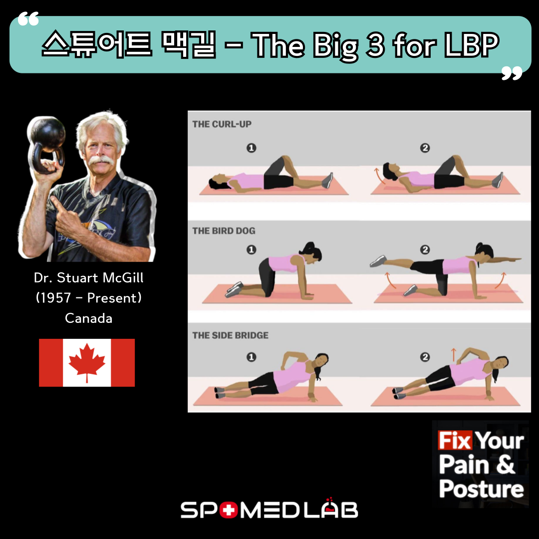 12월 22일 (일) 25차 - 허리질환 재활운동 실기세미나 : 주식회사 스포메드랩