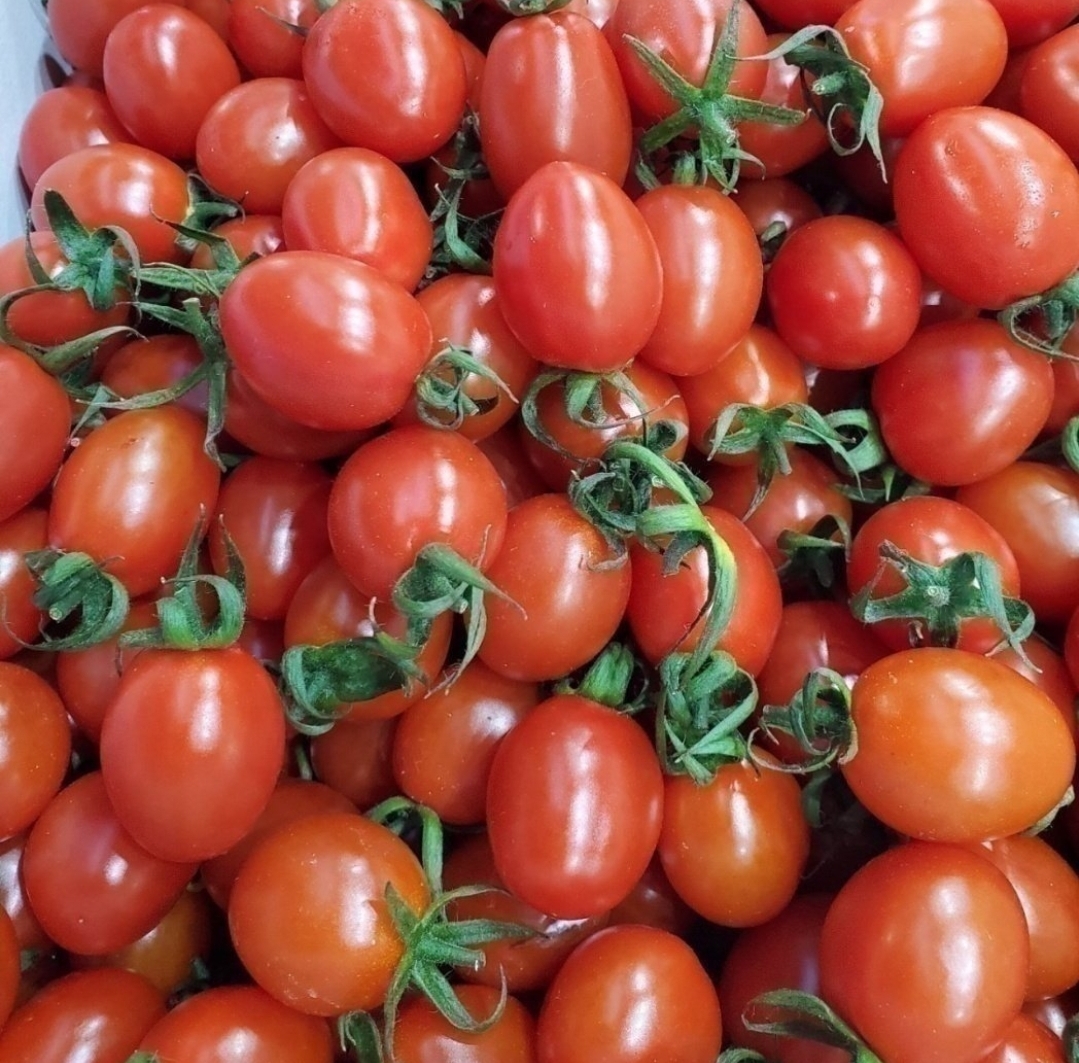 정말 맛있는 대추방울토마토 1kg 중과 로얄크기 : 과일소담촌하남점