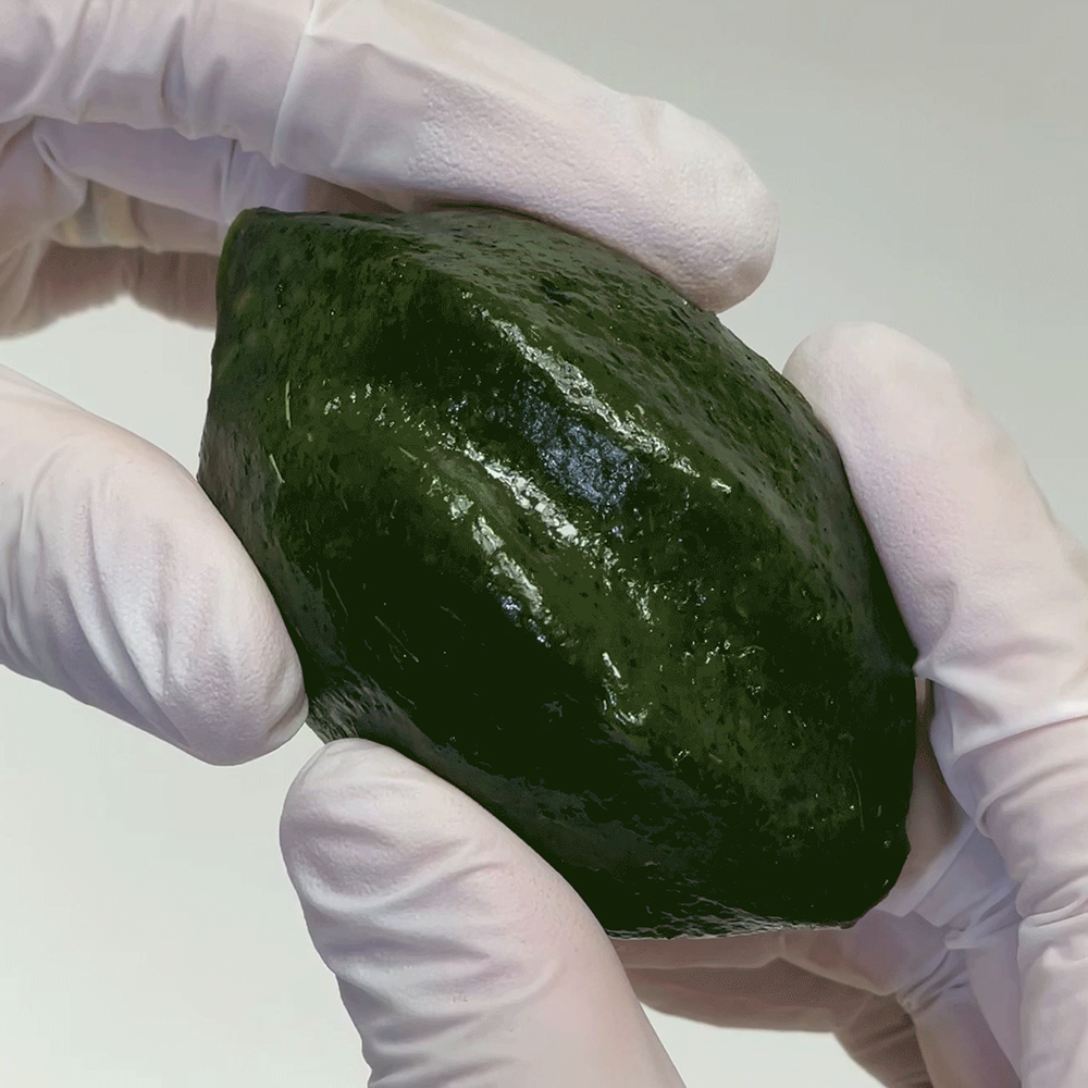 [온기루] 고소한 동부콩 영광 모시송편 500g x 1봉 : 온기루
