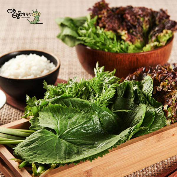 애벌레농장 모듬쌈채소 1kg : 익산시 마을전자상거래지원단