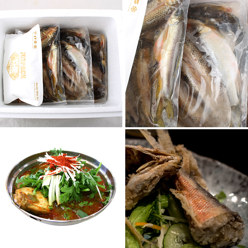 산지청정 강원도 자연산 민물고기 450g : 달푸드