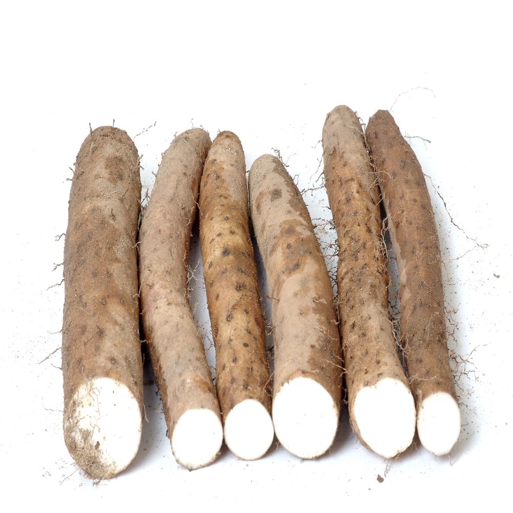안동마 2kg 3kg 참마 장마 산마 깐마 생마 필창농산 산지직송 직접재배 : 필창농산영농조합법인