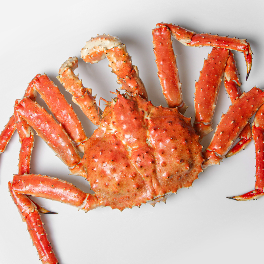 러시아산 활 블루킹크랩 94,000/kg 1.8kg, 2kg : 인어교주해적단