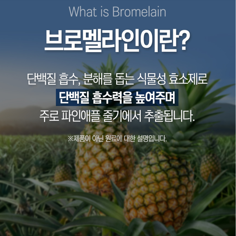 고함량 프리미엄 브로멜라인 퀘르세틴 케르세틴 파인애플 파파인 bromelain : 요다이스요