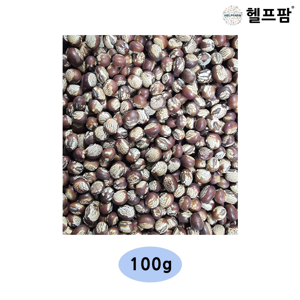 헬프팜 아주까리밤콩 100g 토종콩 밤콩 식용 잡곡 종자 씨앗 : 헬프팜-help.farm