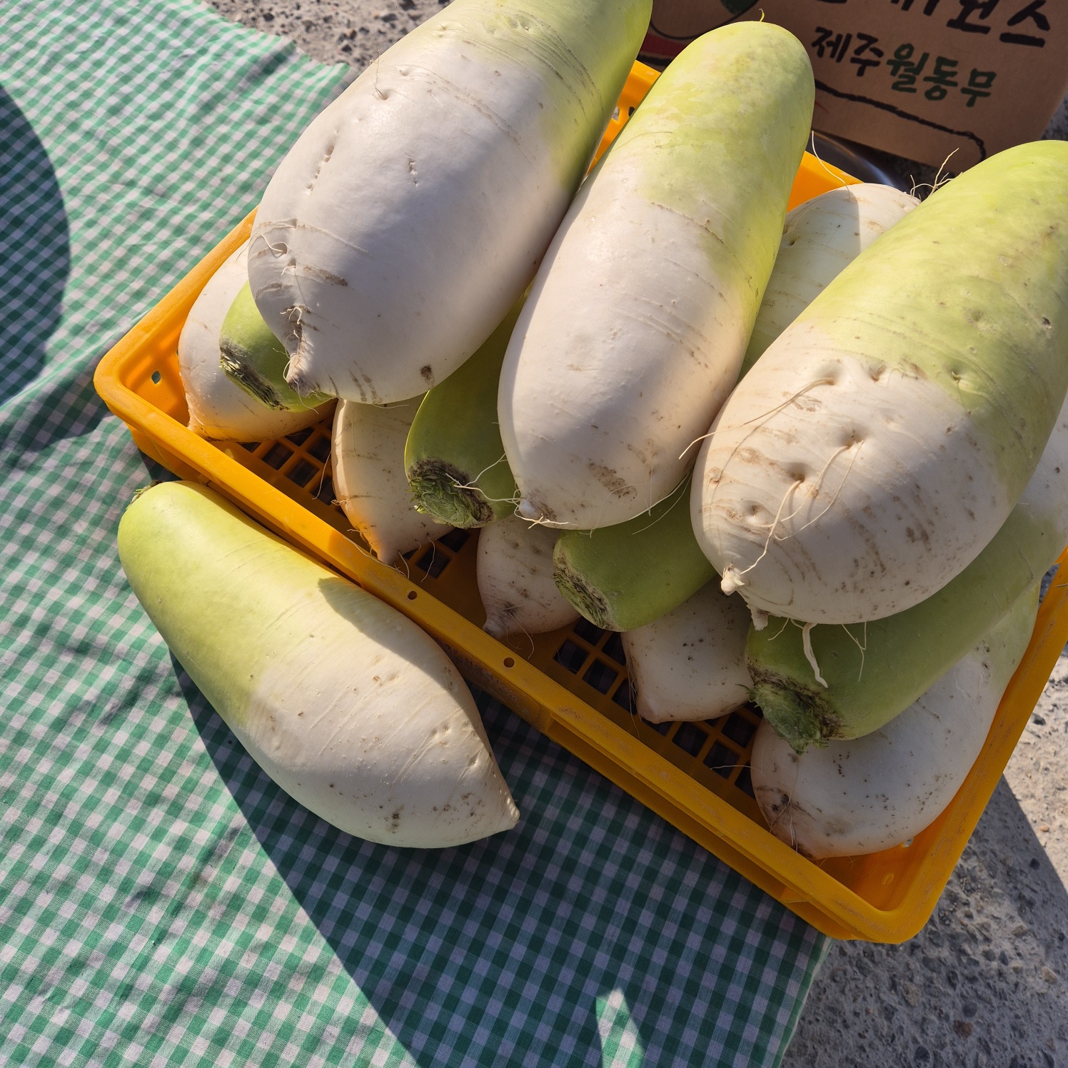국내산 시원하고 단단한 고랭지 무 무우 흙무 햇무 5kg 10kg 청조농산 : 청조 올바른 먹거리