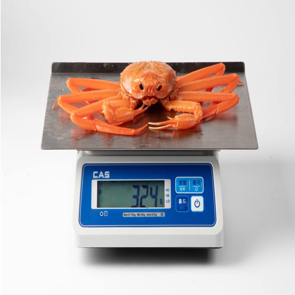 속초 제철 홍게 붉은대게 게 실속형 일반형 고급형 프리미엄 2kg 3kg : 선밀수산
