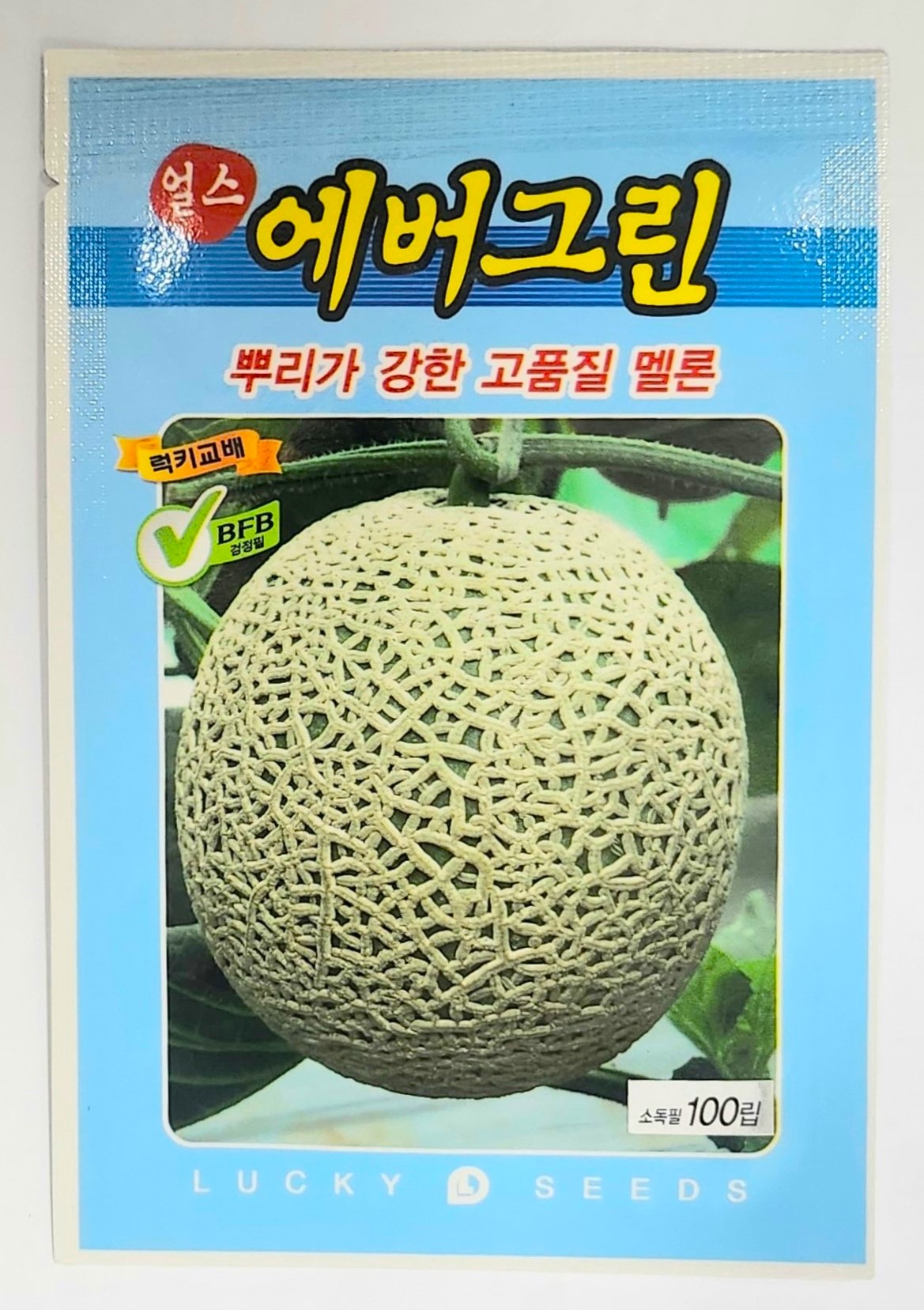 얼스 에버그린 100립 뿌리가 강하고 품질이 우수한 하계용 멜론 씨앗 럭키종묘 : 정산흥농종묘농약사