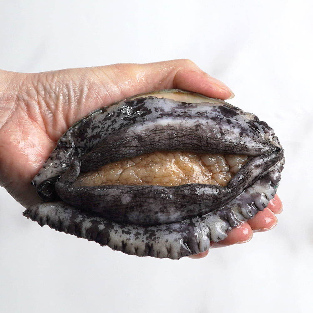 완도 특대 활전복 1kg 산지직송 선물세트 6미부터 : 바다는 다 웰빙이다