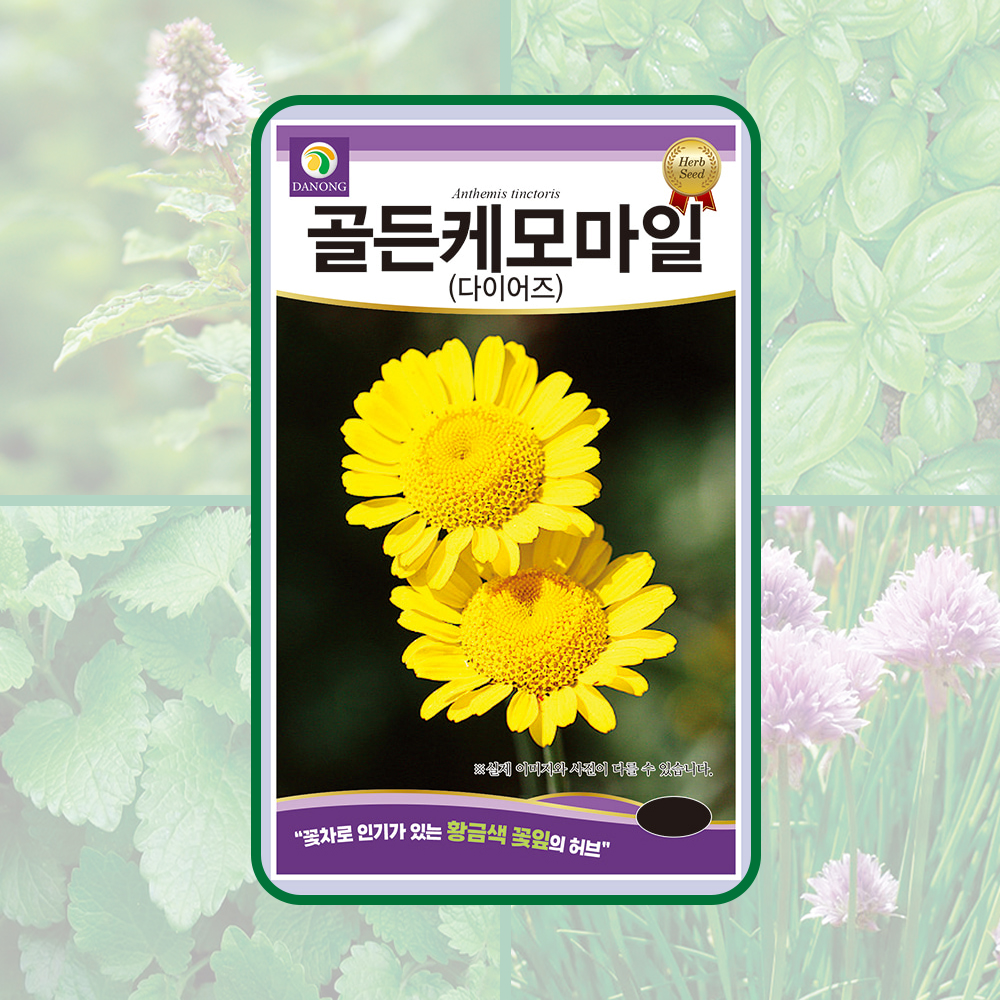골든케모마일(다이어즈) 20g 꽃차로 사용되는 황금색 꽃잎의 허브 씨앗 다농 허브류 : 뉴코리아팜