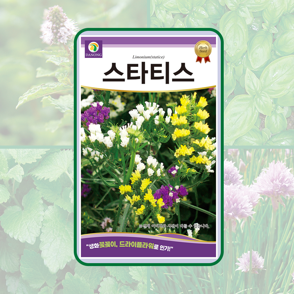 스타티스/해변라벤더 100g 약3만5천립 꽃꽃이나드라이플라워로사용되는 허브씨앗 다농허브류 : 뉴코리아팜