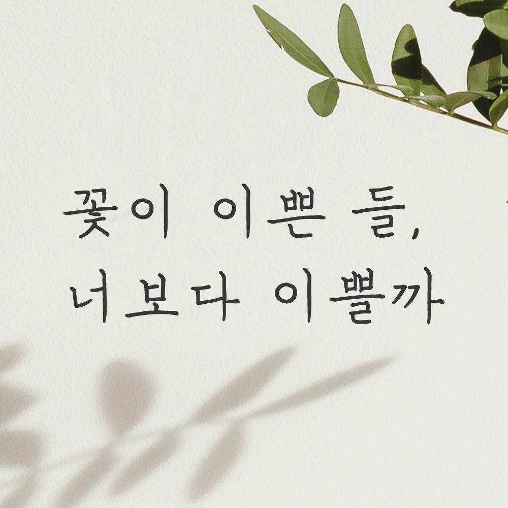 감성 손글씨 레터링 스티커 꽃이 이쁜 들 너보다 이쁠까 검정S : 모노먼트