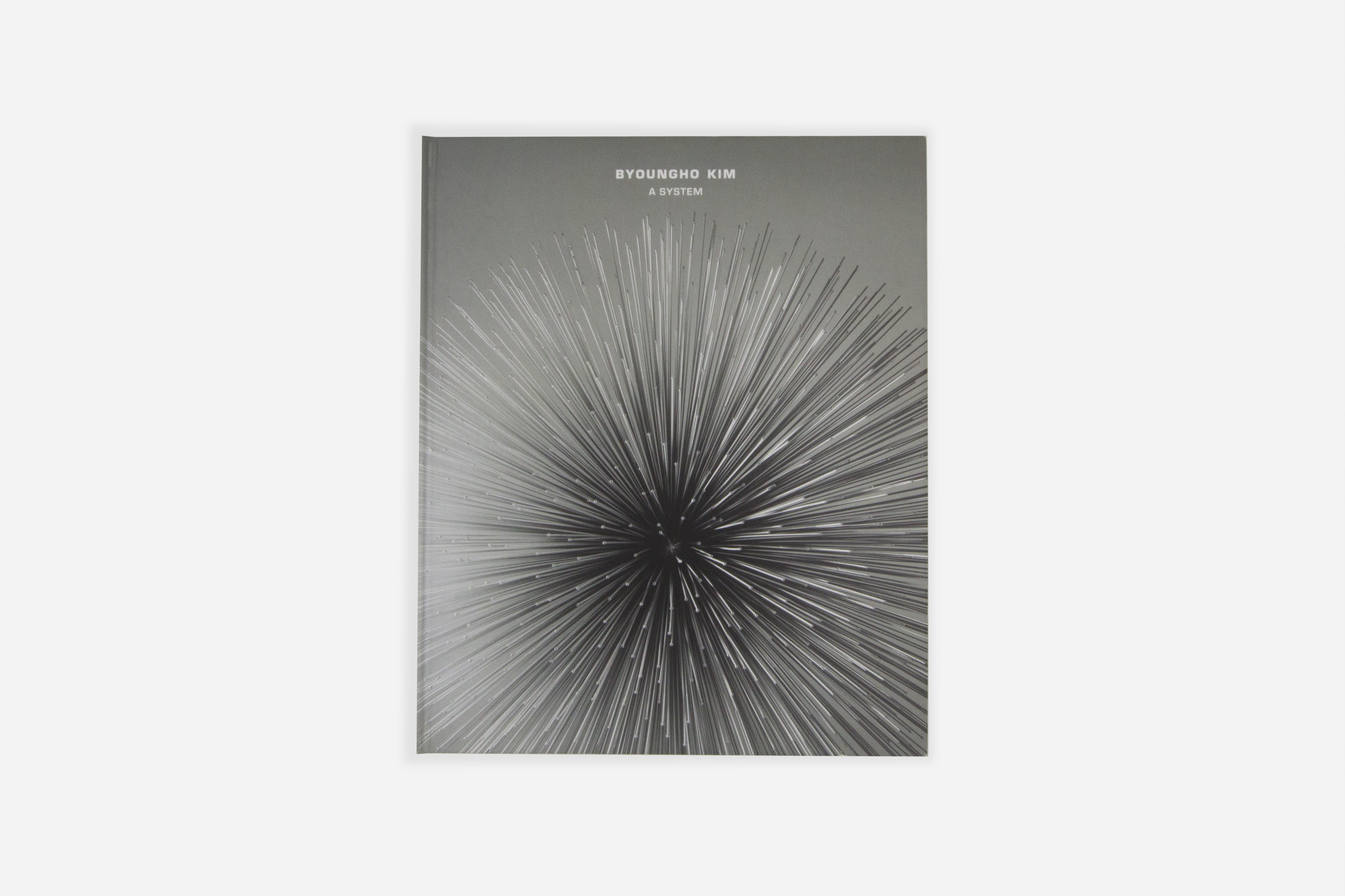 [아라리오갤러리] 김병호(KIM Byoungho) 《A System》 전시 도록 아라리오샵 ARARIOSHOP : ARARIO SHOP