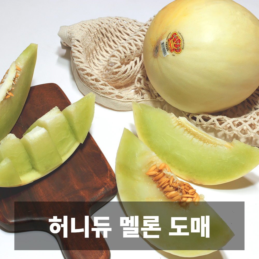 나만의건강by설리마켓 허니듀 멜론 생메론 12kg : 나만의건강by설리마켓